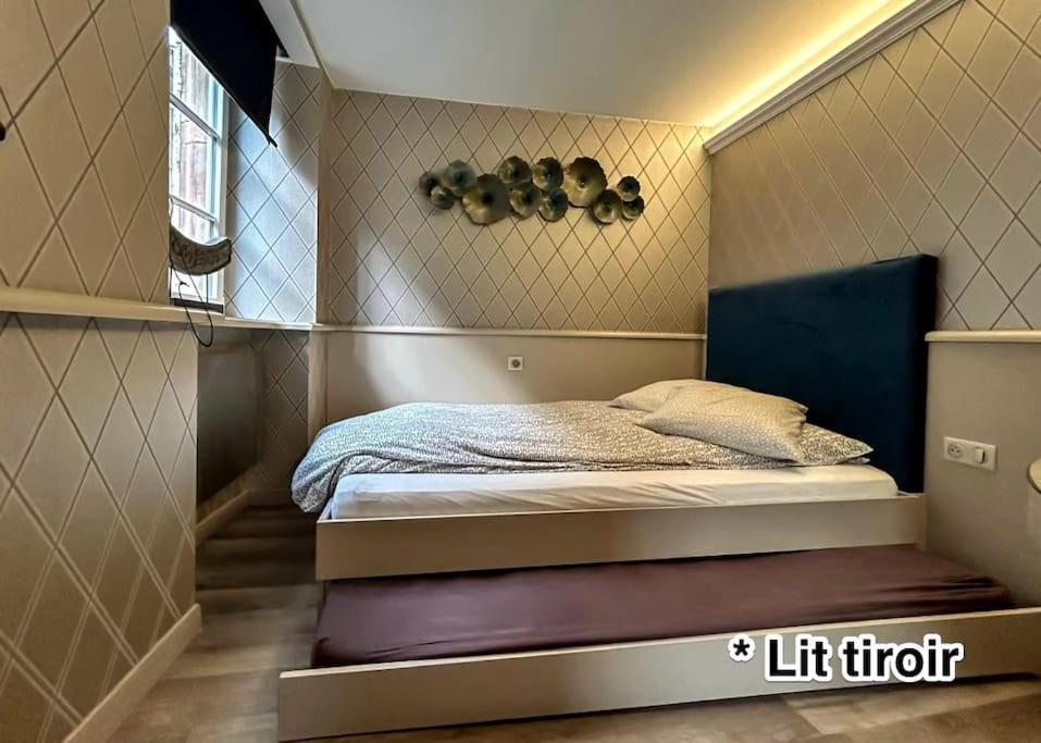 Petit & Authentique Hyper Centre Apartment Страсбург Екстериор снимка